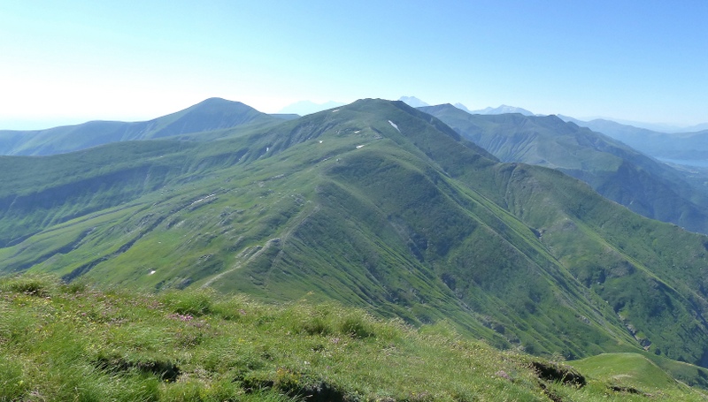 La Nigritella widderi a Pizzo di Sevo e Cima Lepri  -  luglio 2025
